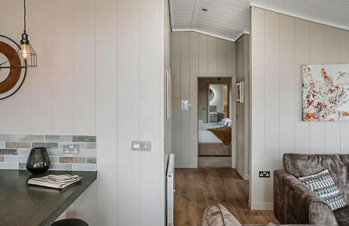 Orchid - Uk51102 - Foto 6