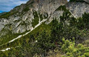 Casa Bagatin - Photo 30