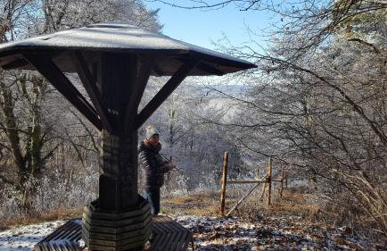 Ferienwohnung Kugler - Foto 1