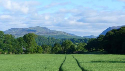 Spacious cottage - walk to Crieff - Photo 5