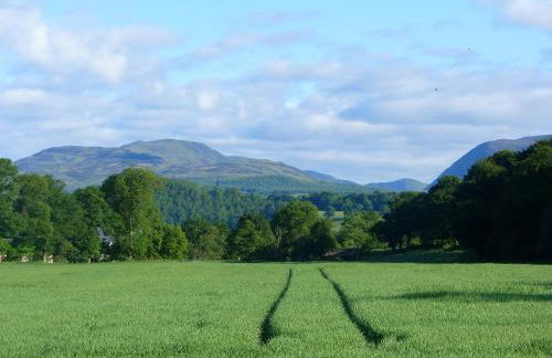 Spacious cottage - walk to Crieff - Photo 5