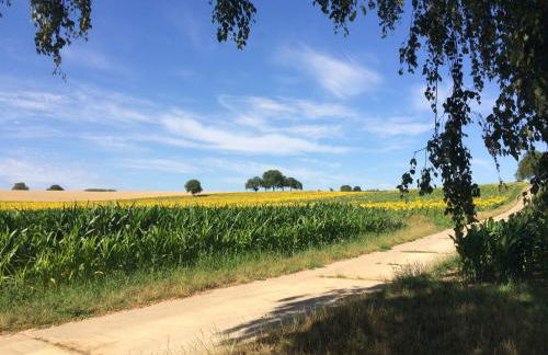Auszeit - Historisches Ferienhaus in der Südpfalz - Foto 28