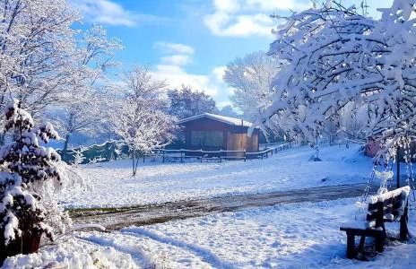 Chalet Vacanze Il Daino - Foto 25