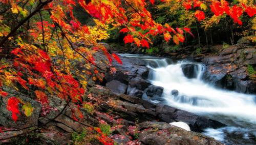 The Black Forest Chalet - Hot Tub, Hiking, Kayak - Foto 5