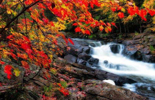 The Black Forest Chalet - Hot Tub, Hiking, Kayak - Foto 5