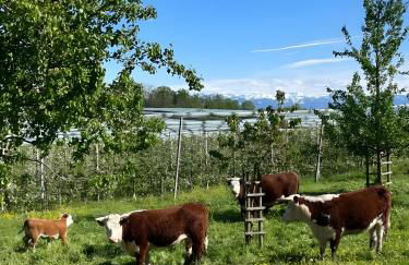 Biohof Stotz - Foto 11