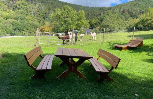 Ferienwohnungen Schwabenhof - Foto 42