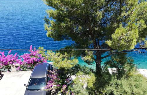 Marula Apartment - Foto 19