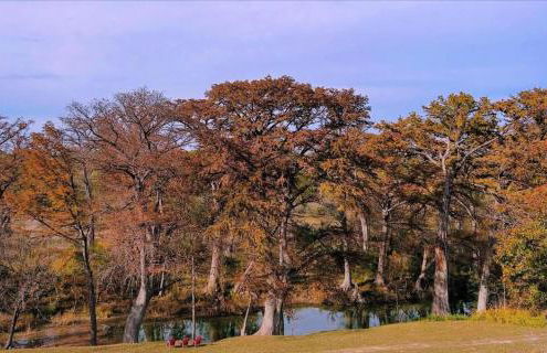 FAMILY RIVER RETREAT! PRIVATE MEDINA RIVER ACCESs! - Foto 35