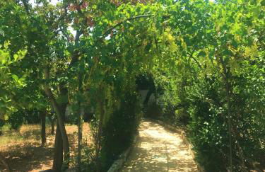 Villa Sara di Puglia - Foto 11