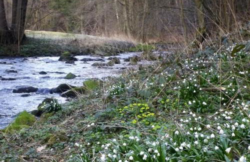 Ferienwohnung Zum Lilienstein - Foto 51