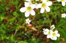 Ferienwohnung Schwörer bis 7 Personen - Foto 33