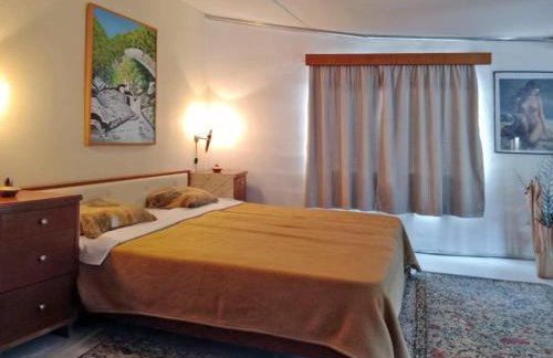 Παραδοσιακό σπιτι frozen - Foto 14