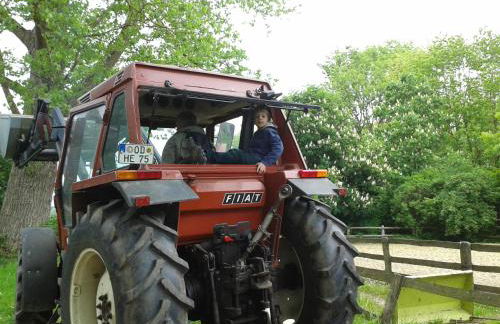 Ländliches HideAway zwischen Hamburg und Lübeck - Foto 19