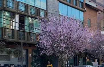 LUXUOSO APT ALMERIS PECCIN no Centro de GRAMADO - Foto 1