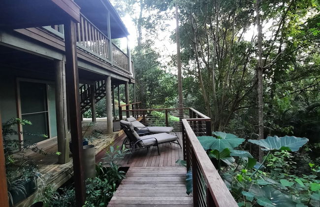 Treetops Accommodation Montville - Photo 18