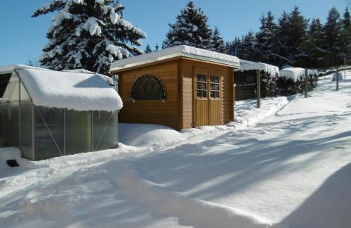 Ferienwohnung Rauscher - Foto 21