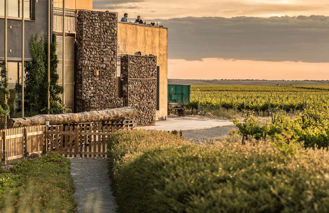 Visite du vignoble Menade - Photo 5