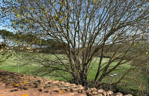 Entire apartment in Panoramic Villa with Bathtub - Photo 33