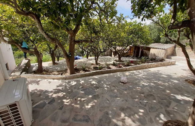 Diamoni Afroditi - Photo 22