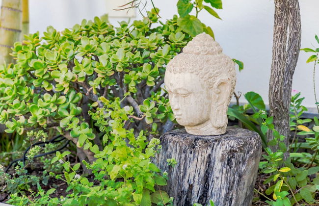 Madeira Beach House by Atlantic Holiday - Foto 28