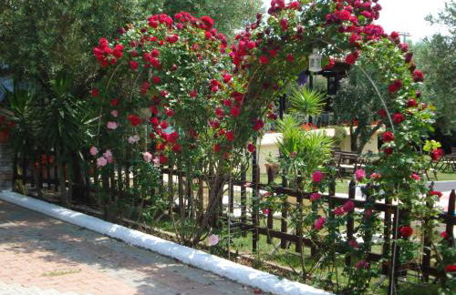 Asteris Village - Foto 16