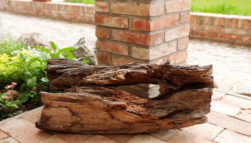 Landhaus Krummin - Foto 5, Garden, Garden view, Other