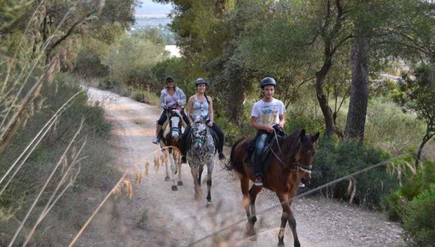 Horseback ride through Alcudia