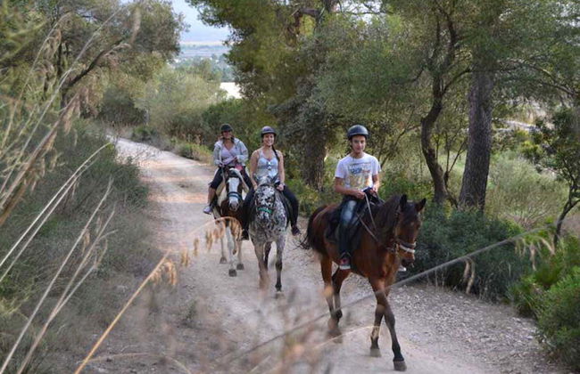 Passeio a cavalo por Alcudia - Foto 2