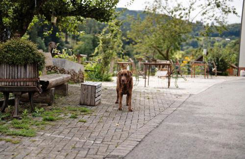 Ruhbauernhof - Foto 17