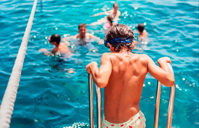 Southern Beaches Boat Tour - Photo 7