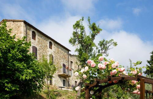 Villa Colle di Rocco - Photo 9