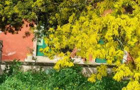 Masseria Ai Pioppi - Foto 43