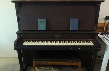 Forest Lake House - Foto 46