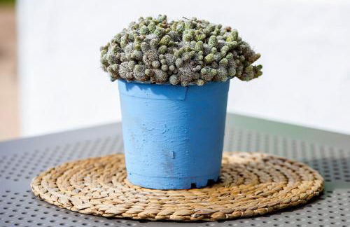 Apartamentos Can Guasch Formentera - Foto 59