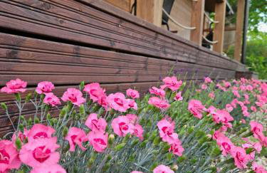 Przystanek Gałkowo - Foto 33