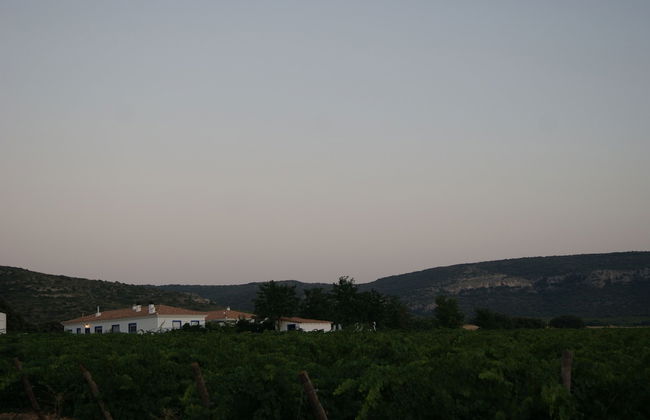 Finca El Romeral - Foto 48