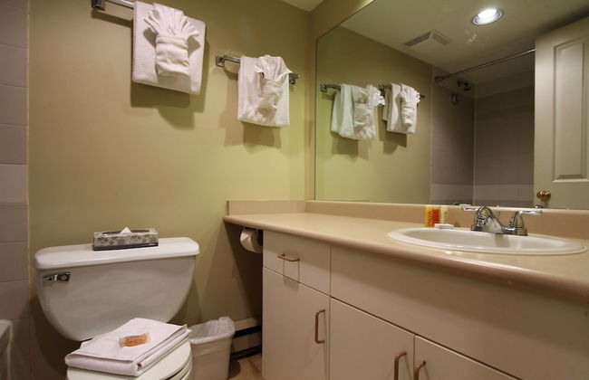 Lake Placid Lodge By Whistler Retreats - Photo 20