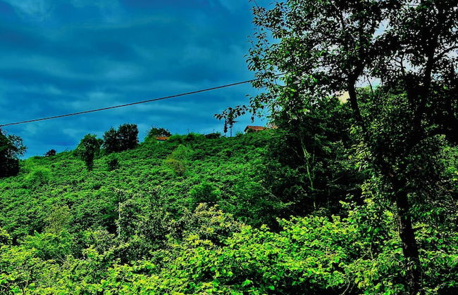 Five Stars Apart Bungalov - Foto 48