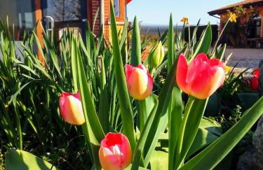 Agriturismo Fior di Maggio - Foto 29