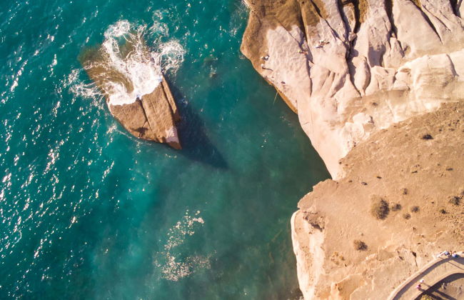 Passeio de catamarã de 3 horas com avistamento e escuta de cetáceos - Foto 6