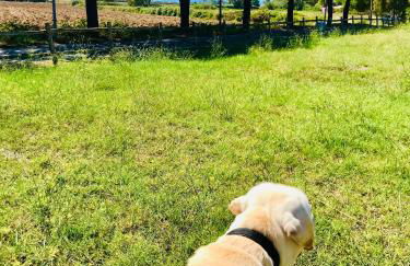 Family House - Foto 50