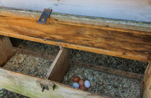 The Mill House - Foto 68