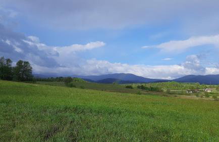 Tiny House Grabovac - Foto 41