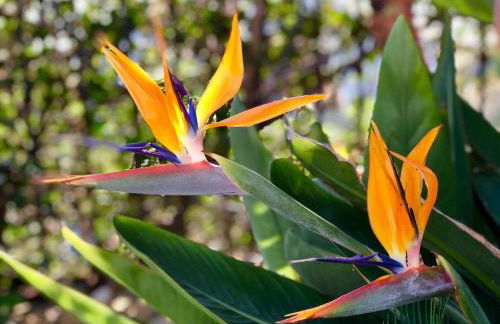 Casa Olina - Photo 74