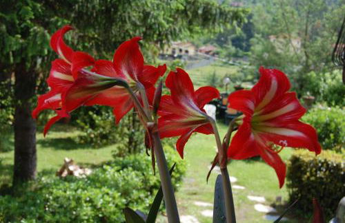 La Torretta - Foto 51