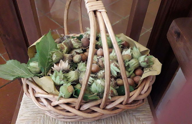 Agriturismo Villa Fiore - Foto 54