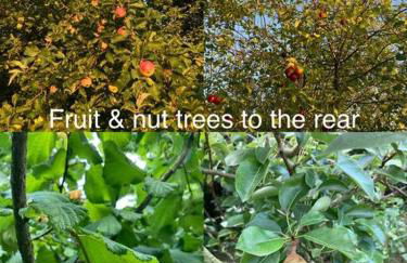 Caban Croeso-The Welcome Cabin, Holiday let, near Mansion House Llansteffan - Photo 20