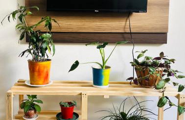 Apartamento ideal para casal acomoda ate 5 pessoas - Centro com Wifi - Foto 4