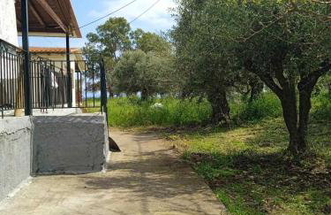 Niki's House - Foto 21